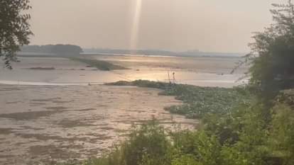 Okhla Bird Sanctuary Migratory birds in search of water are facing drought