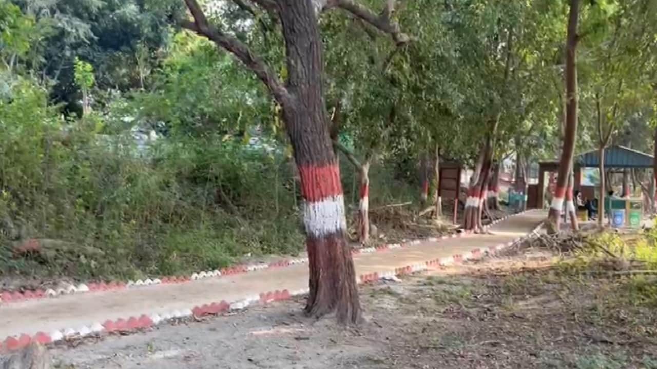 Okhla Bird Sanctuary Migratory birds in search of water are facing drought