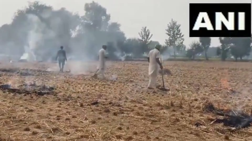 cases of stubble burning during Kharif season in Punjab increasing