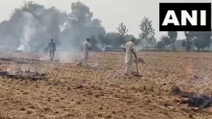 Haryana: पराली जलाने से रोकने में कोताही, 21 अफसरों पर होगी कार्रवाई; प्रदेश में 13 जिलों का एक्यूआई 200 पार Negligence in preventing stubble burning in Haryana, action to be taken against 21 officers