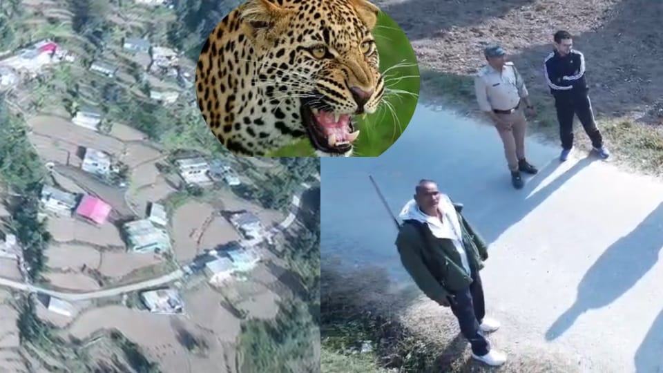 Man-eating leopard Terror in Tehri Uttarakhand Shooters deployed search by drones and trap cameras