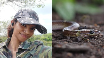 Awareness on snakebite in india poisonous snakes in india and Snake Bite Prevention