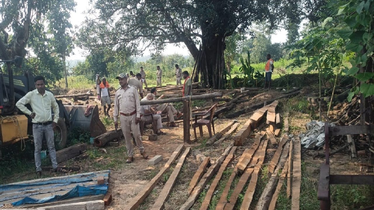छापेमारी में सरपंच के यहां मिली बेशकीमती लकड़ी