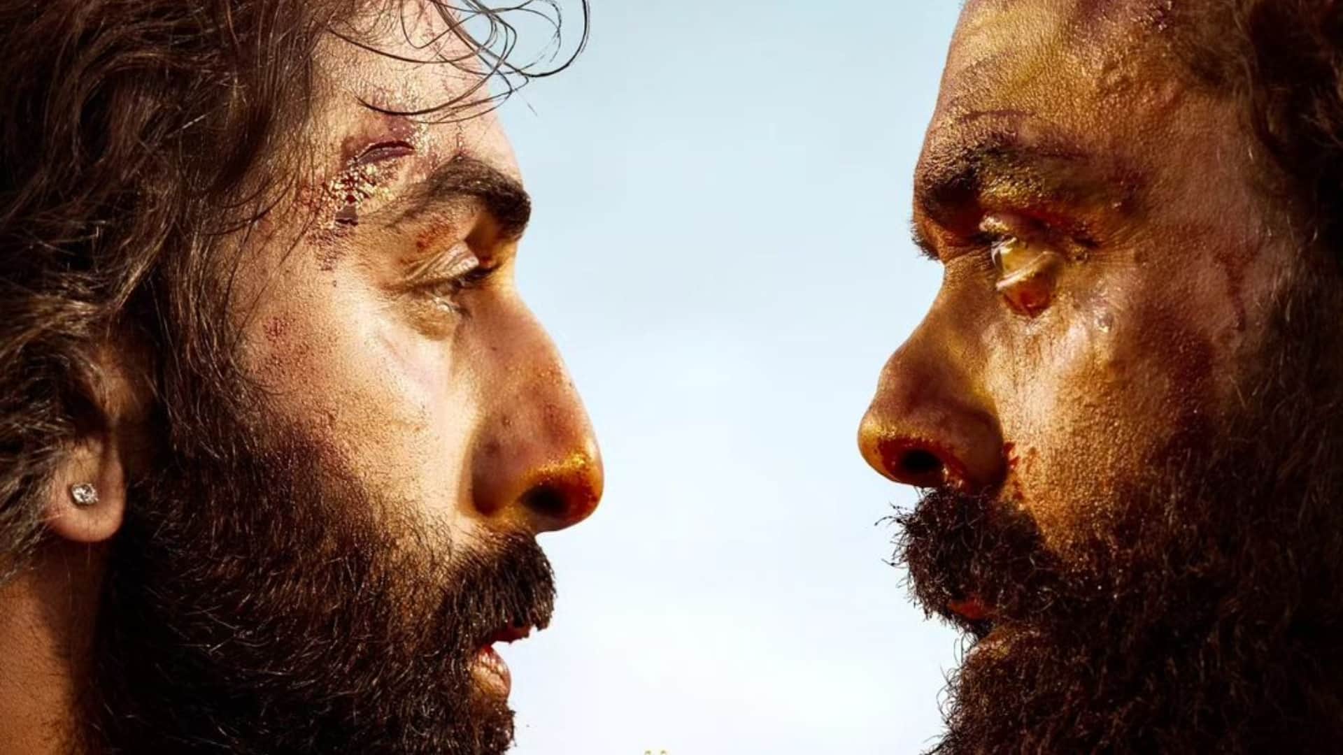 Pushpa 2 the Rule Highest Box Office Collection in Hindi on First Sunday see top 5 list Jawan Animal Pathaan