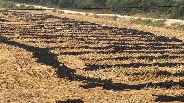 Haryana: पराली जलाने से रोकने में नाकाम 19 अफसरों पर केस दर्ज करने की मांगी अनुमति