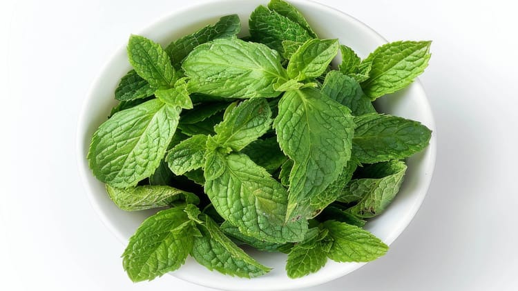 Mint Leaves:वजन घटाने से लेकर मुंह की दुर्गंध तक को दूर करता है पुदीना, जानें रोज खाने के क्या हैं फायदे - Mint Leaves Pudina Control Weight And Bad Breathing Issues Know
