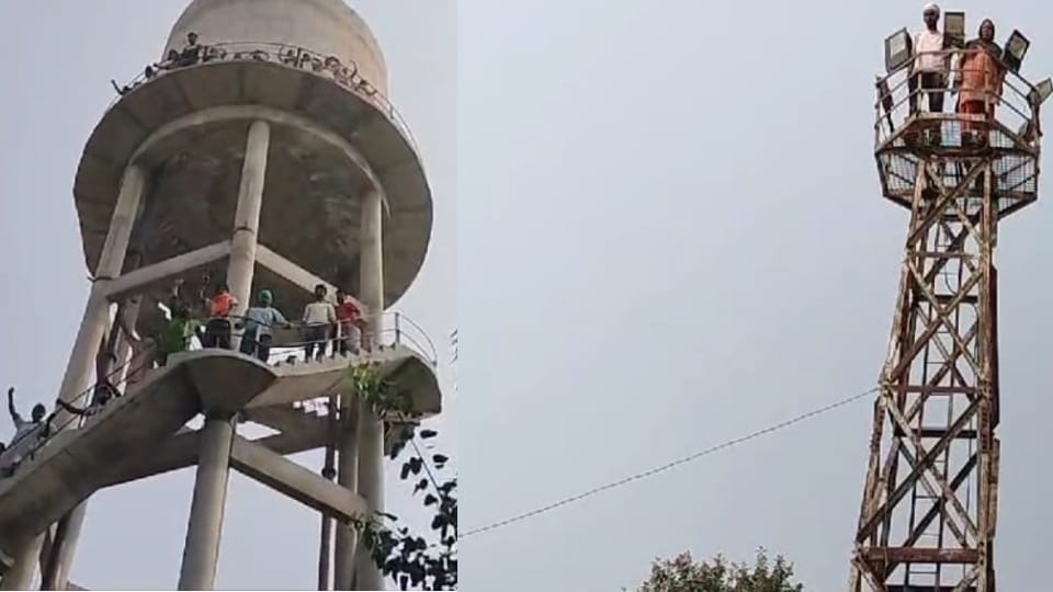 Mother in law and daughter in law fight in Barnala