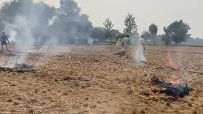 Four Punjab cities report polluted air  Stubble burning cases surpass 2500