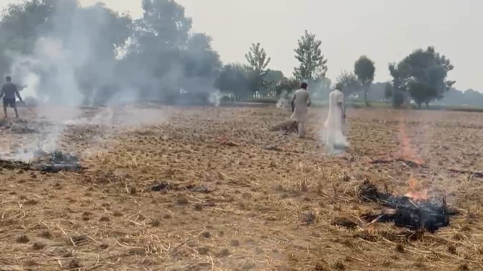 पंजाब में जल रही पराली