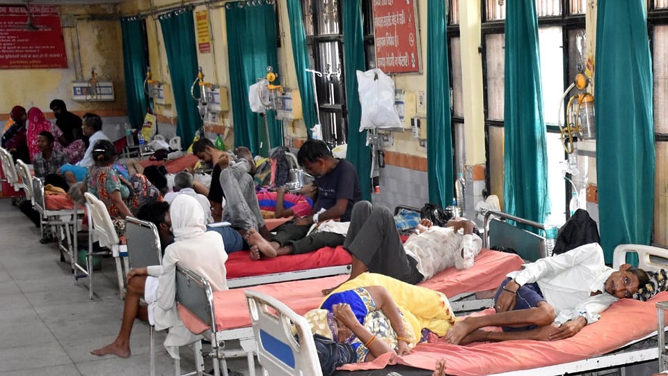 Dengue patients are increasing in Aligarh