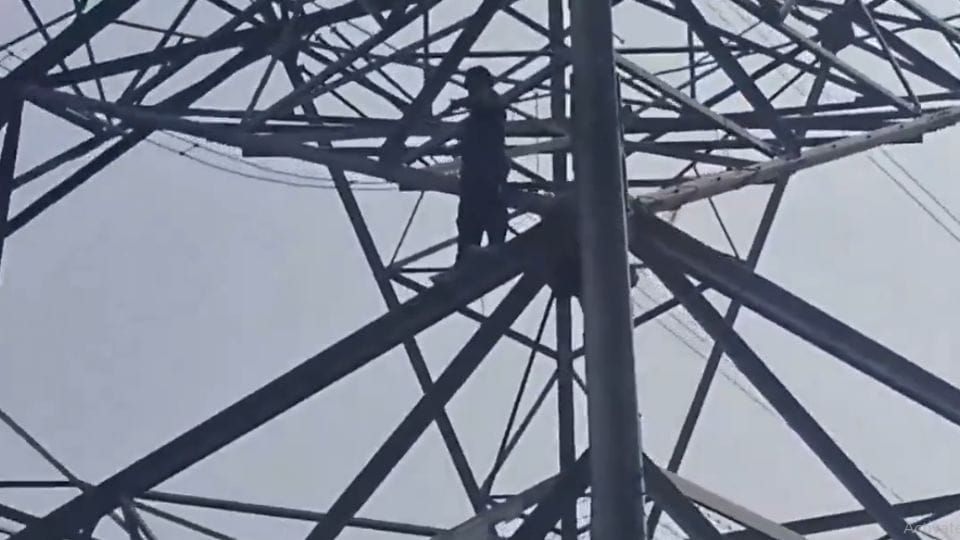 Youth climbs electric pole in Delhi over environmental issues