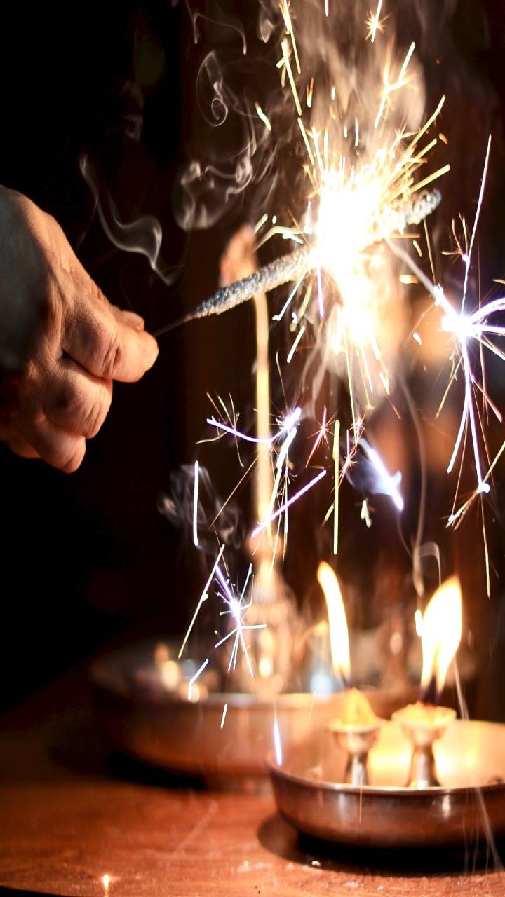 Gorakhpur News: Fireworks banned near the zoo. Thatches are being soaked to protect the animals