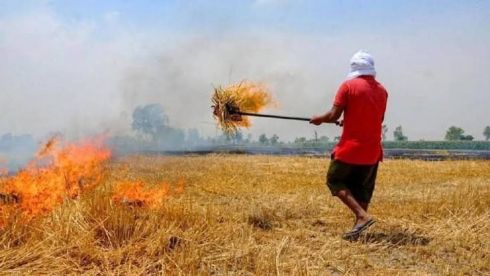 350 nodal officers in every district to stop stubble burning in Punjab