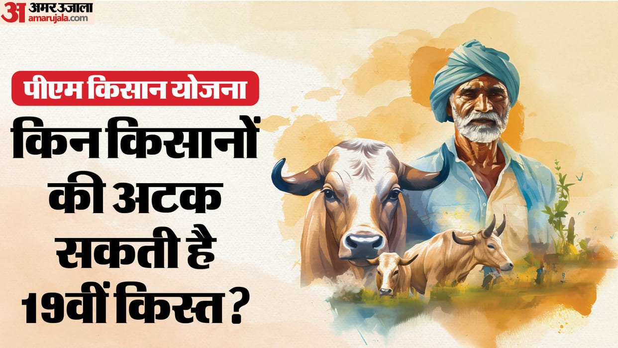 PM Kisan Samman 19th kist may get stuck for these farmers