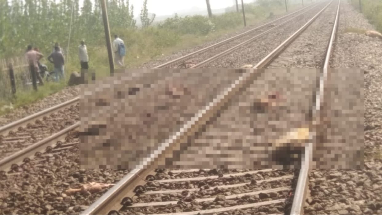 Yamunanagar: Sheep herder and 20 sheep killed after being hit by train