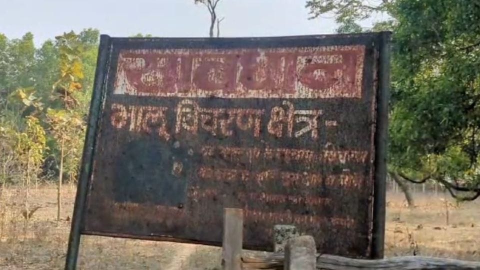 Female bear attacked villager in Marwahi