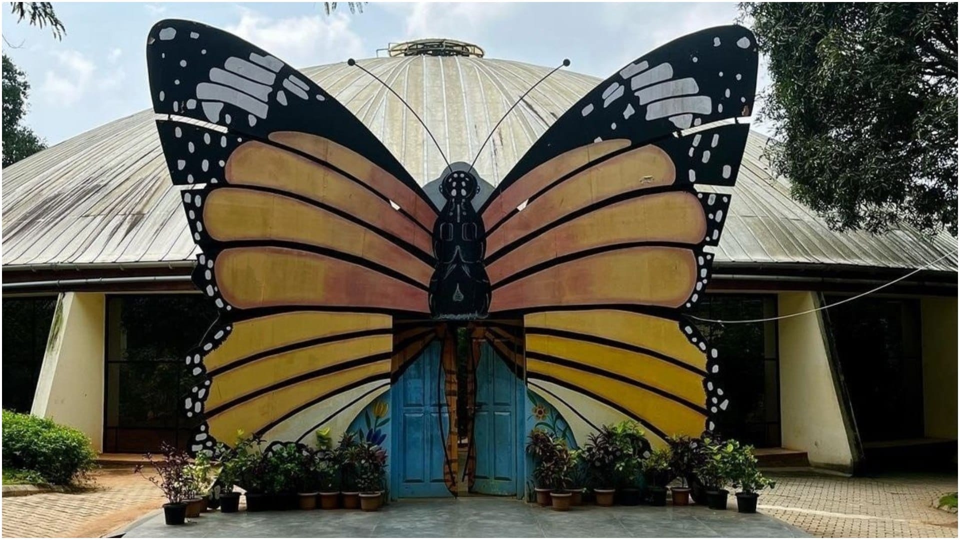 Beautiful butterfly Parks in India Must Visit To Watch Colorful Butterflies And Natural Beauty