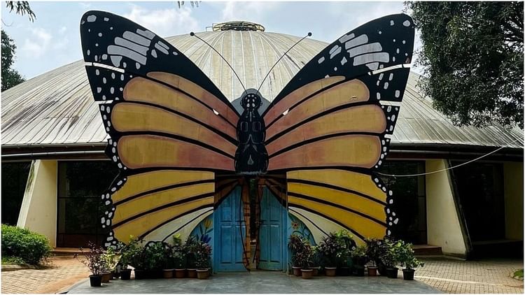 Beautiful Butterfly Parks In India Must Visit To Watch Colorful Butterflies  And Natural Beauty - Amar Ujala Hindi News Live - Butterfly Parks:भारत के खूबसूरत  बटरफ्लाई पार्क, जहां रंग-बिरंगी तितलियों को ...
