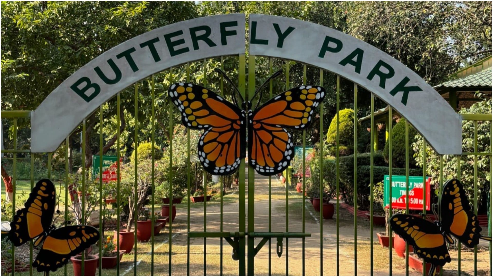 Beautiful butterfly Parks in India Must Visit To Watch Colorful Butterflies And Natural Beauty