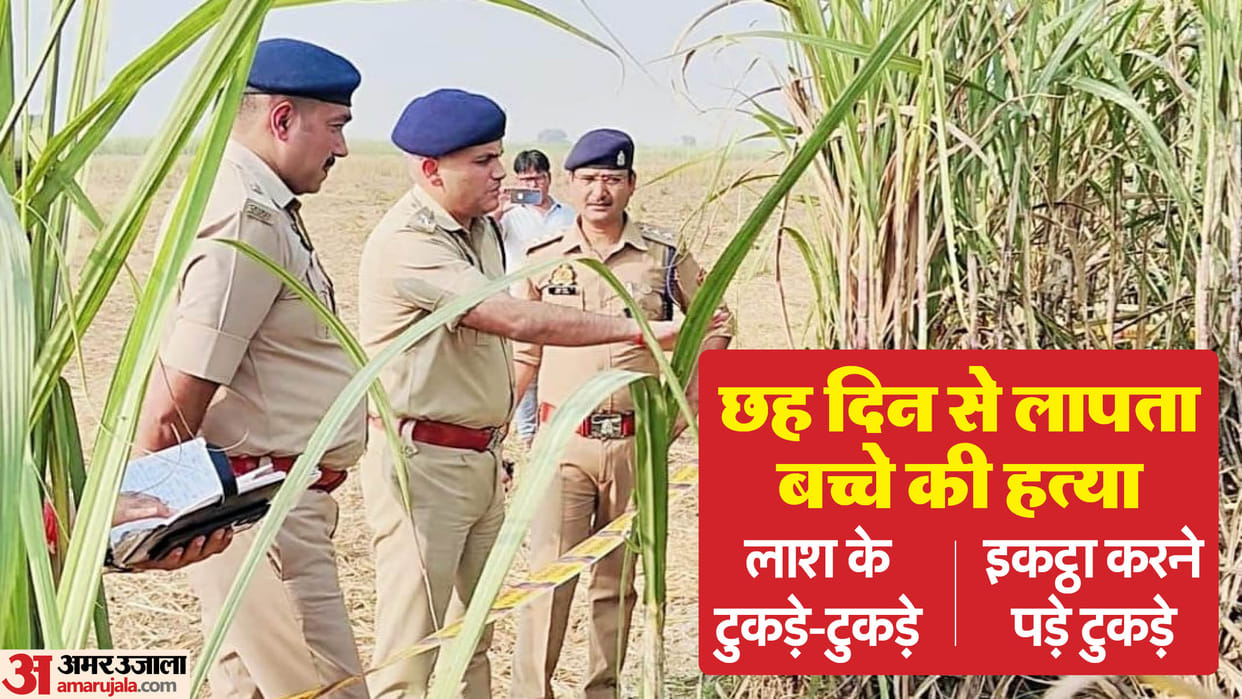 child murder Police could not find missing child for six days body parts found scattered for 20 meters