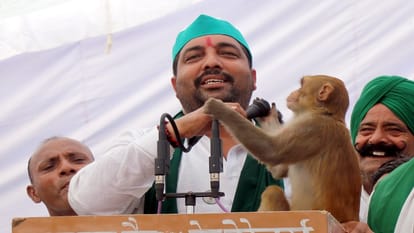 UP News: Rakesh Tikait said, EVM is cat aunt, cast your vote anywhere, only BJP will win