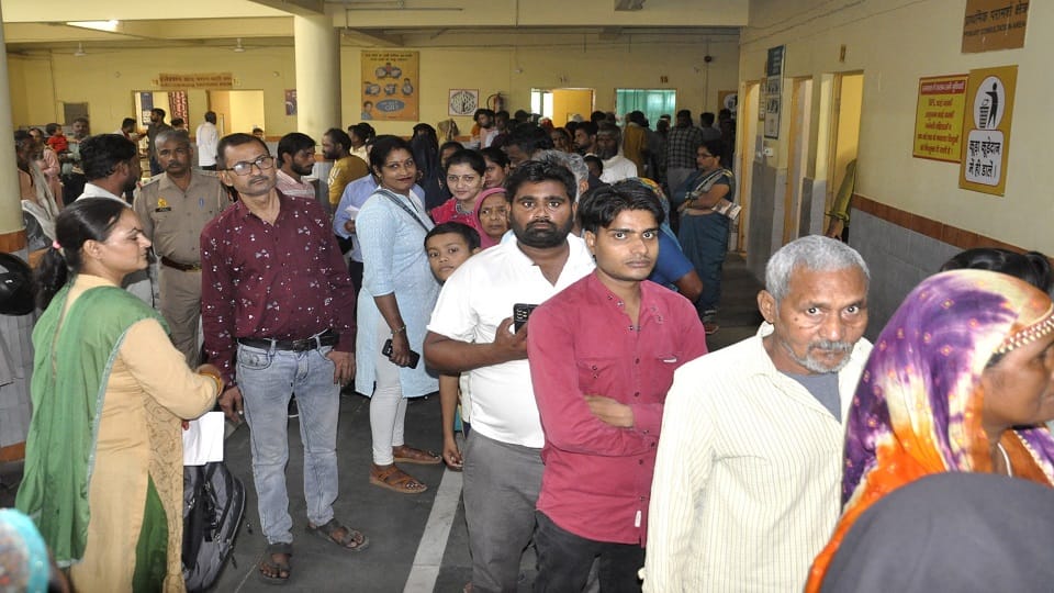 Six dengue patients including an innocent child were found