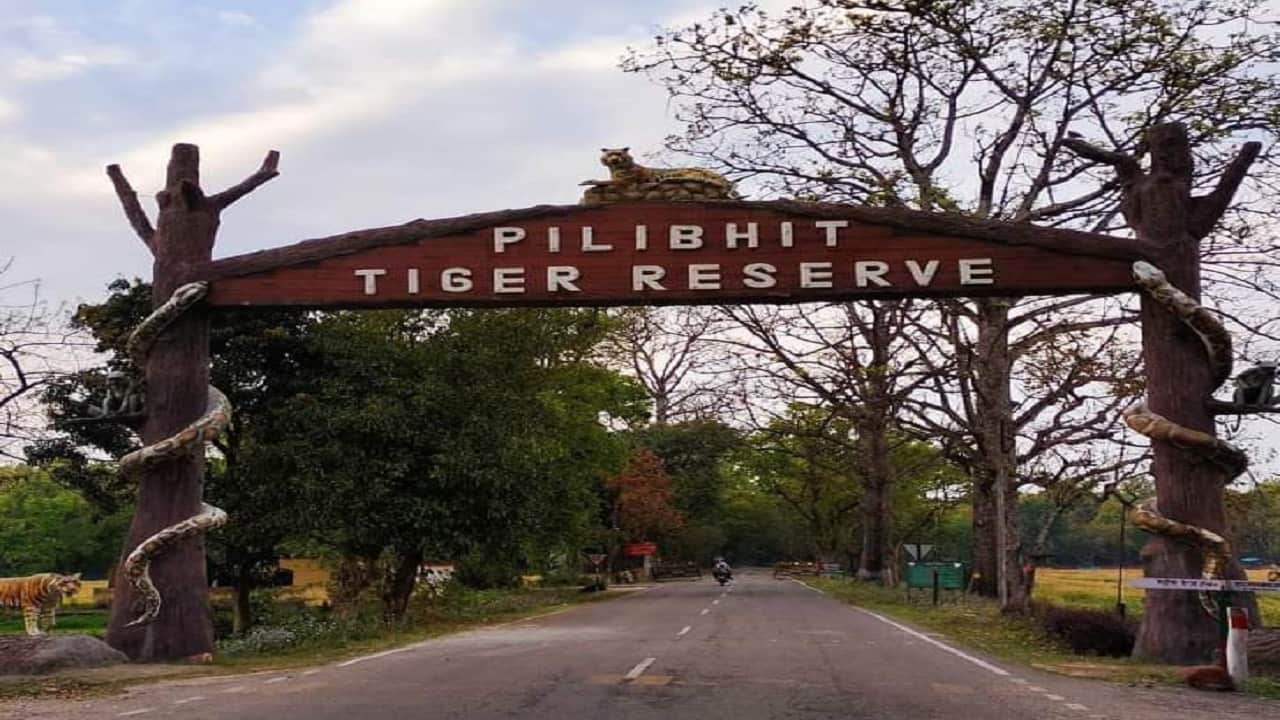 पीलीभीत टाइगर रिजर्व