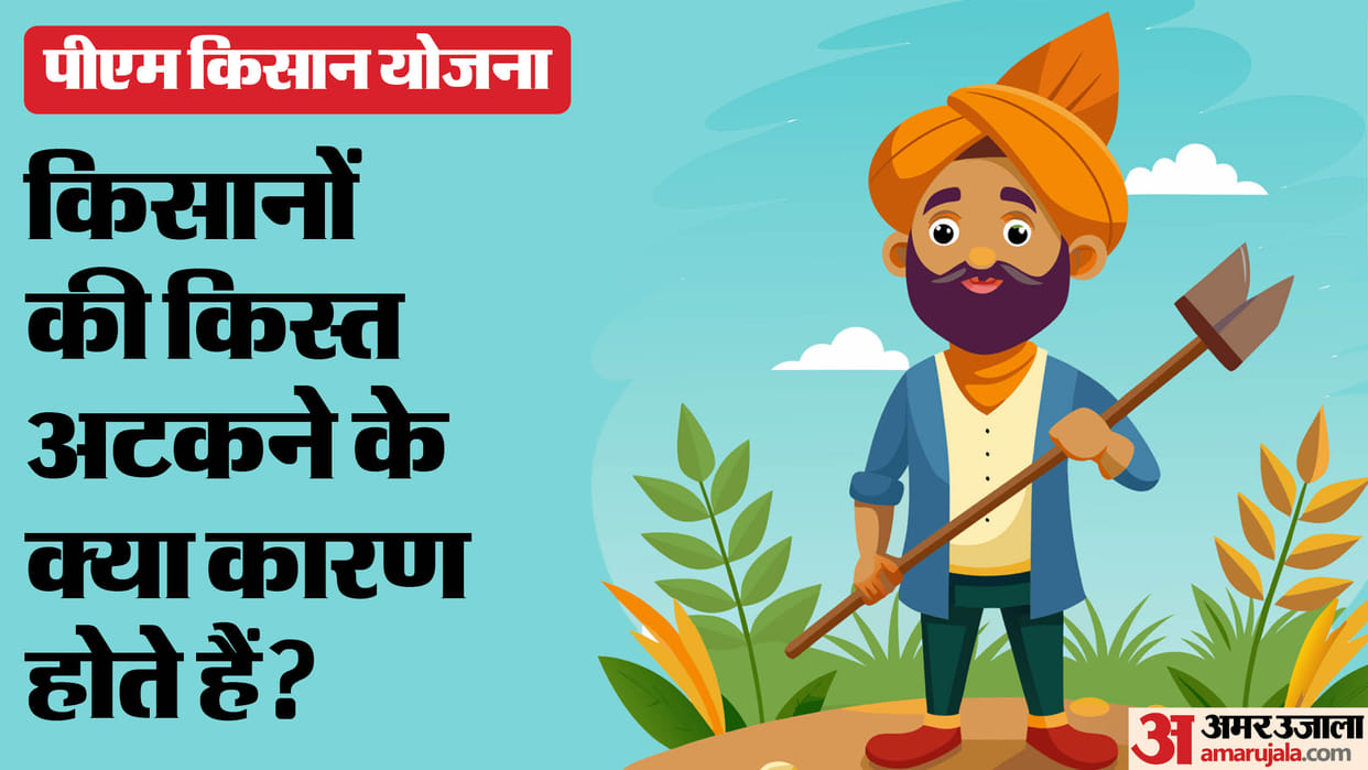 PM Kisan Samman Nidhi Kist Stuck Reason check here full details