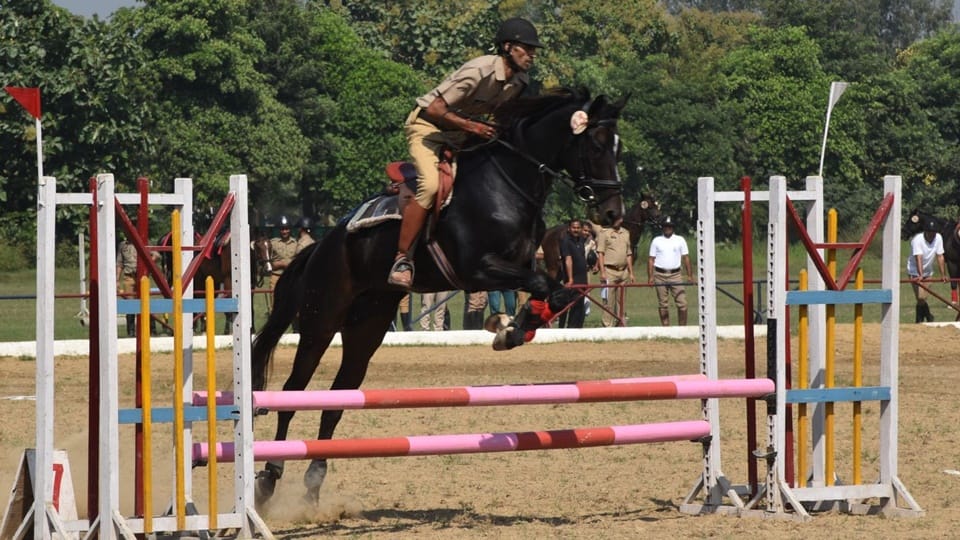 Horse riding competition: Excitement watching the horse race and tremendous jump, Montina and Bhagwan won gold