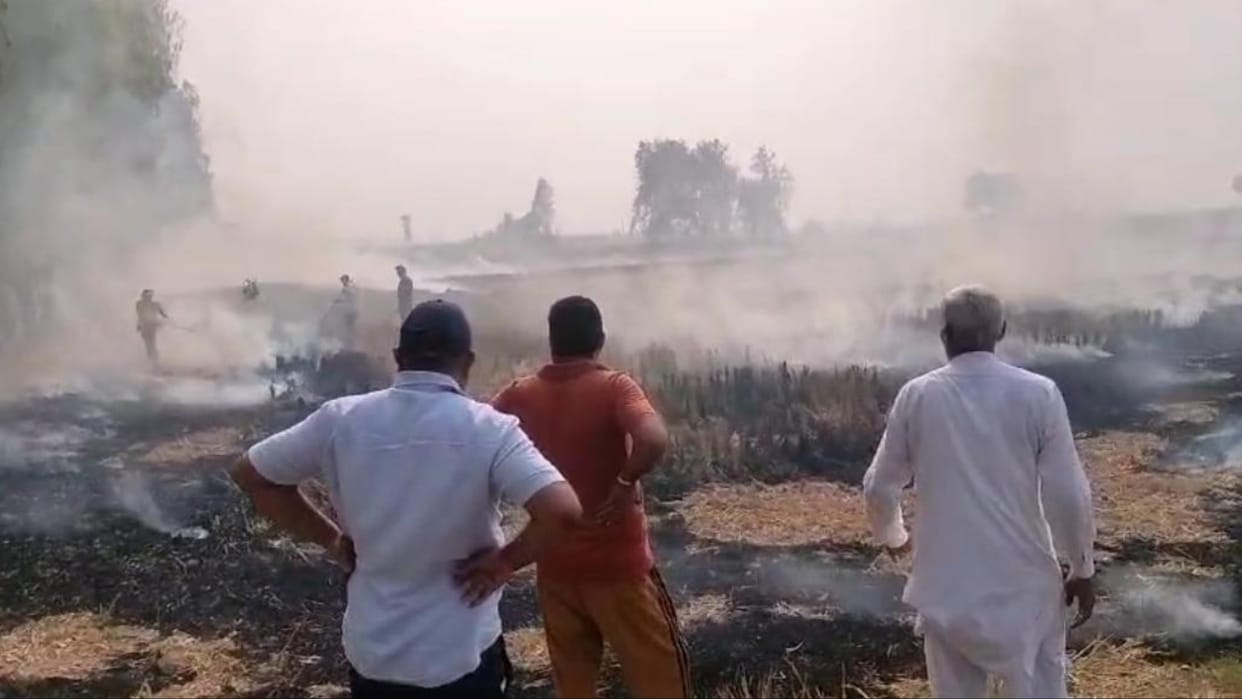 Kaithal: Another farmer arrested in Pundri for burning stubble