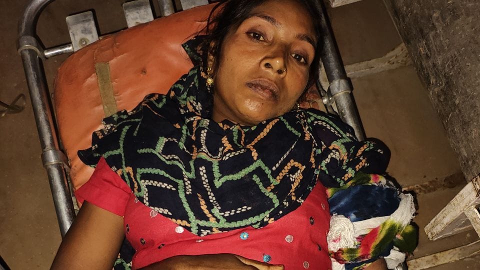 Snake bites two more people in Hapur
