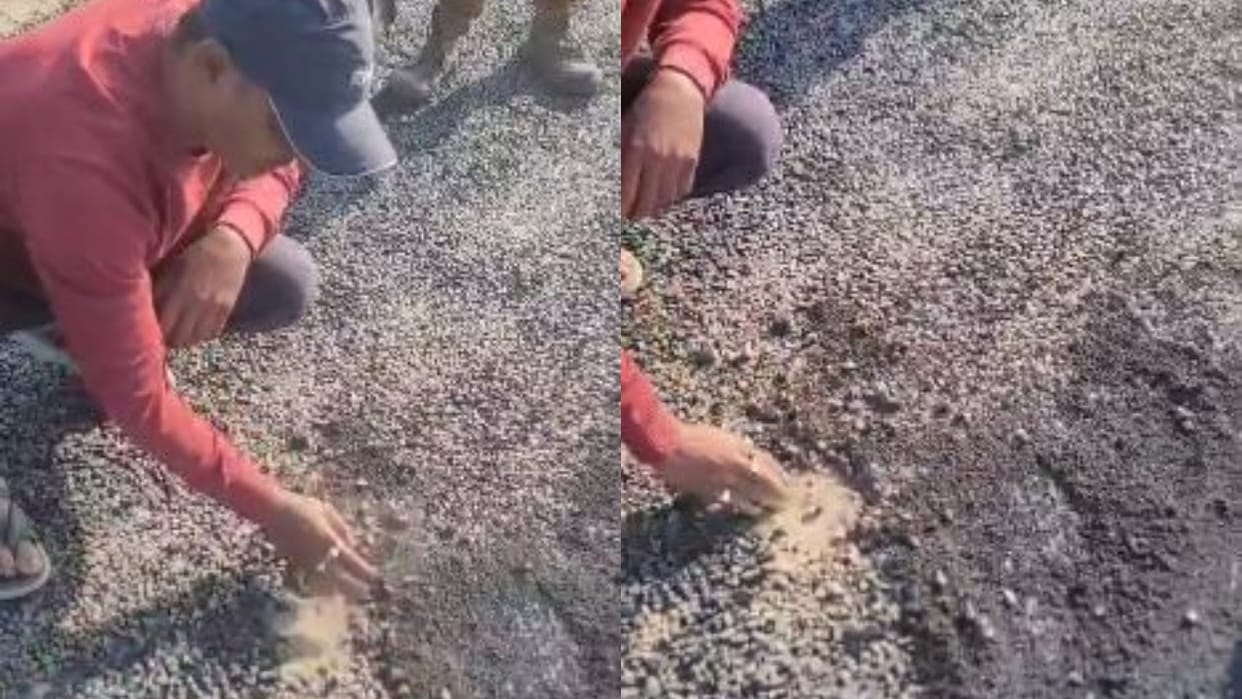 poor quality road uprooted by people video goes viral in pilibhit