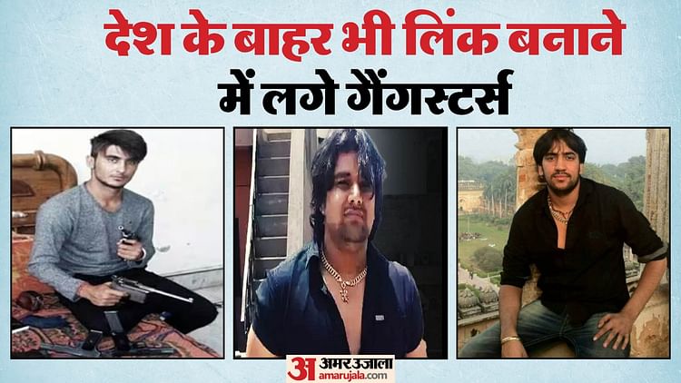 Gangsters Of Delhi And Country Started Following Path Of Terrorists – Amar Ujala Hindi News Live