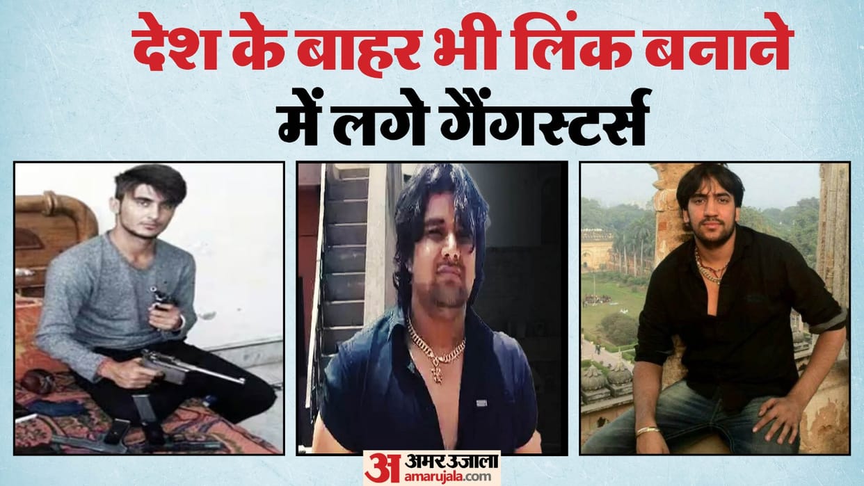 Gangsters of Delhi and country started following path of terrorists