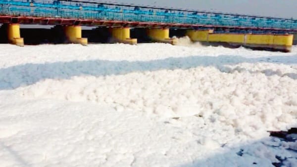 Issue: Yamuna is waiting for its savior... Aarti-tourism is nothing but keeping the public in deception