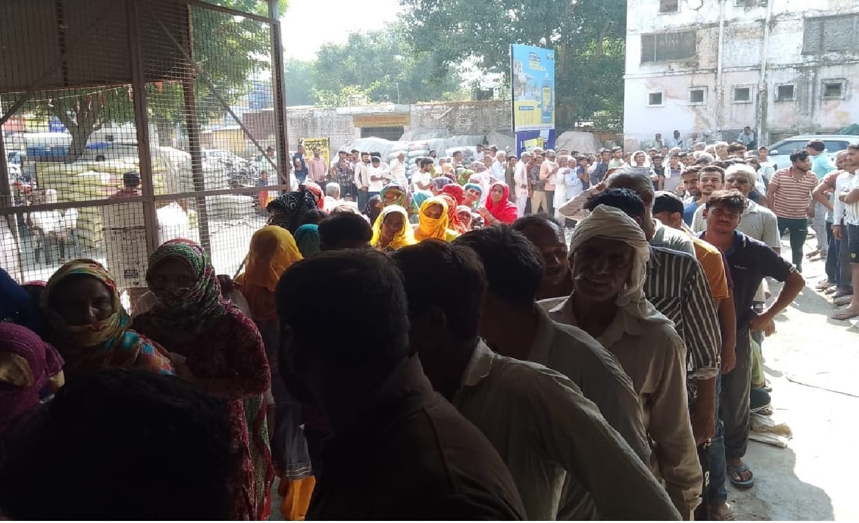 DAP fertilizer shortage in Haryana, Long queues of farmers in Julana and Narnaul