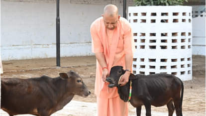CM Yogi listened to people's problems in public darshan at Gorakhnath temple.