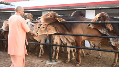 CM Yogi listened to people's problems in public darshan at Gorakhnath temple.