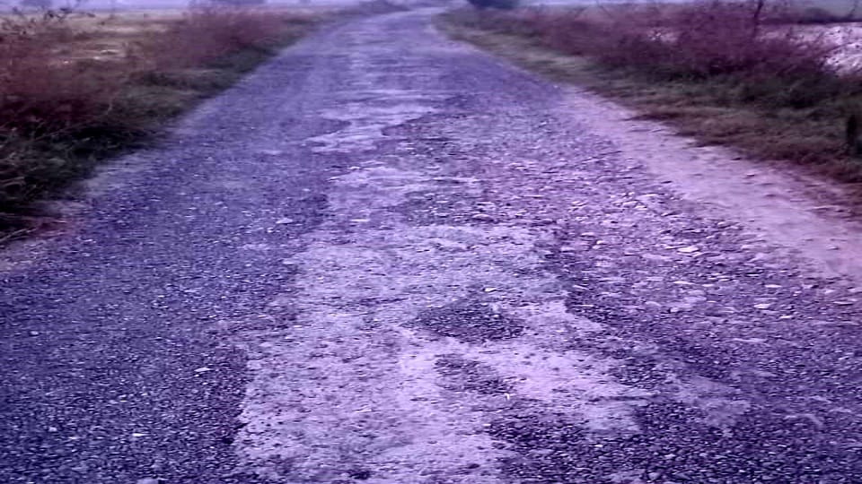 People troubled by dilapidated roads