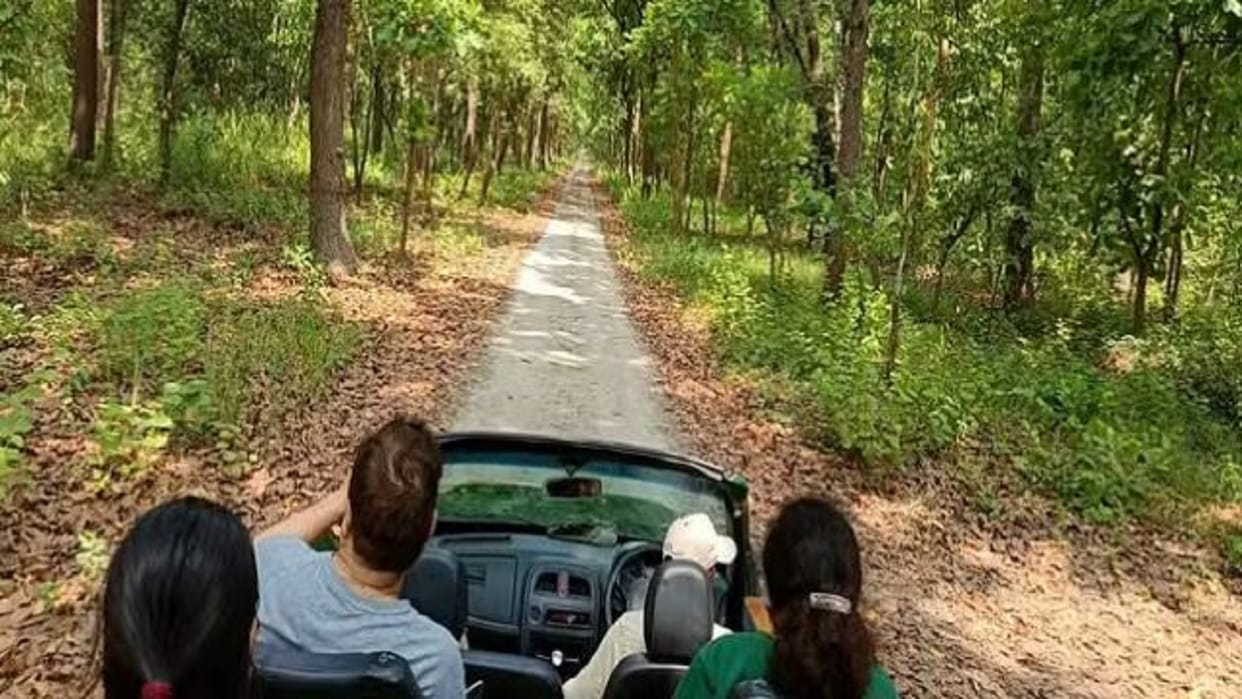 Preparations for jungle safari begin in Corbett Tiger Reserve Uttarakhand news in hindi