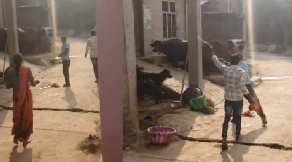 Several rounds of firing in the village people narrowly escaped atmosphere of terror three accused arrested