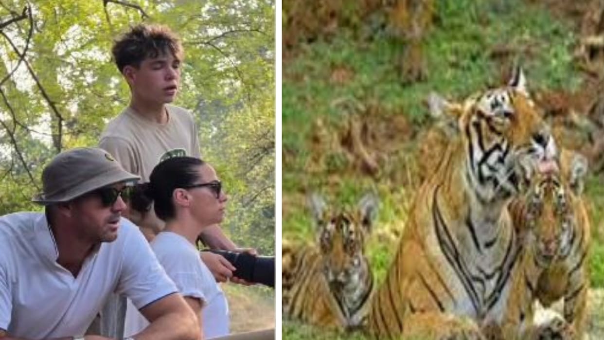 Sawai Madhopur: Former England cricketer Pietersen enjoyed the antics of the tigress and cubs in Ranthambore