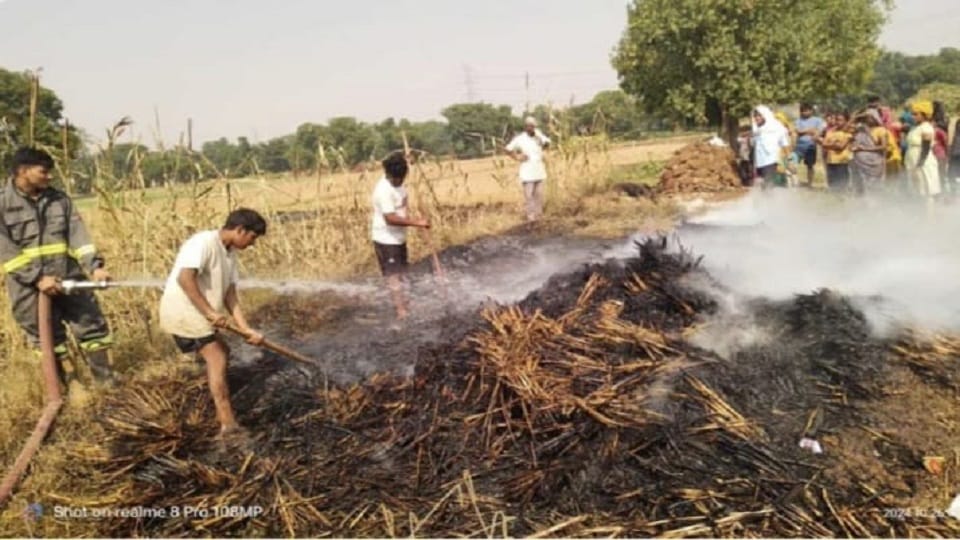 fire broke out in a bushel kept in the field