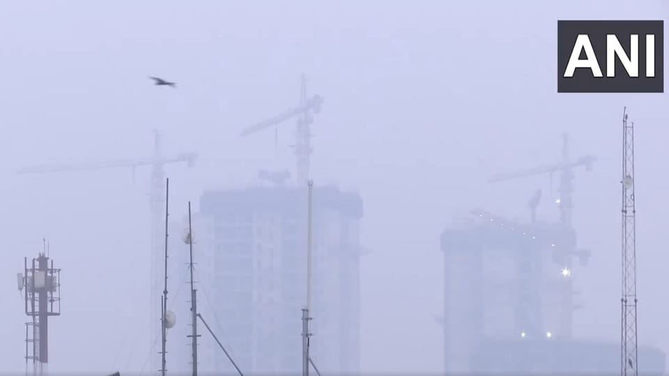 Delhi's poisonous air is having a serious impact on animals and birds