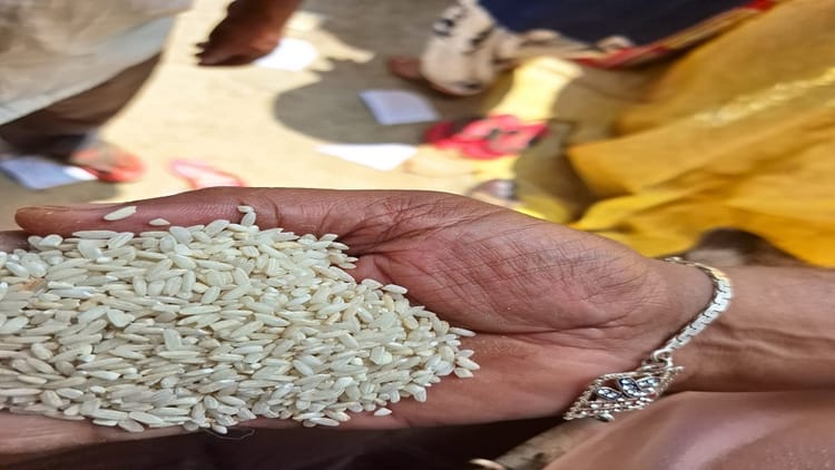 सीजी- Balrampur Ramanujganj: हितग्राहियों को नहीं मिल रहा गुणवत्ता युक्त चावल, टूट की मात्रा भी है अधिक – INA
