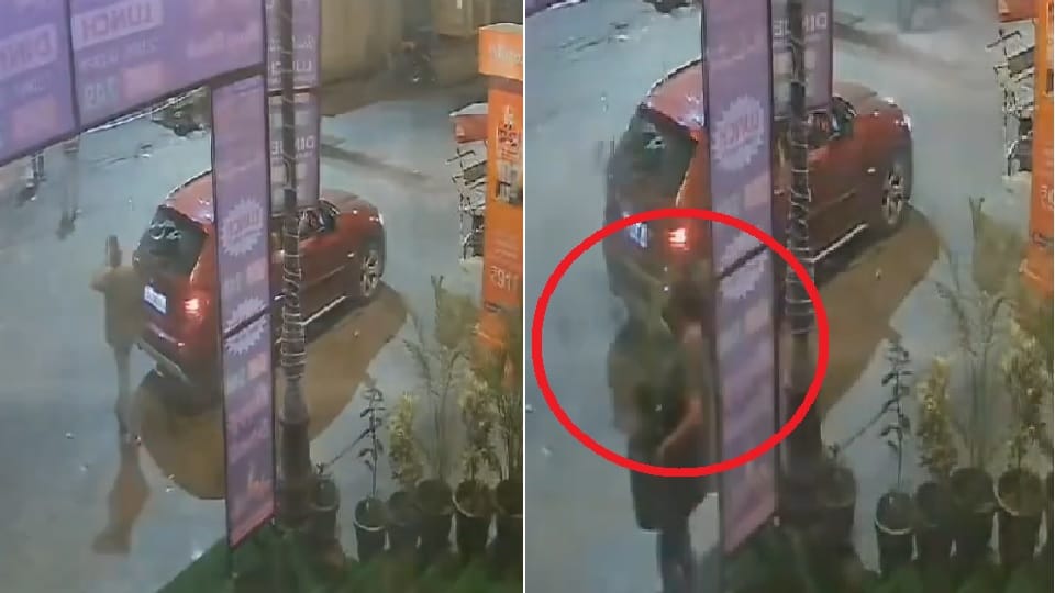 Woman who came in BMW stole flower pot in Noida