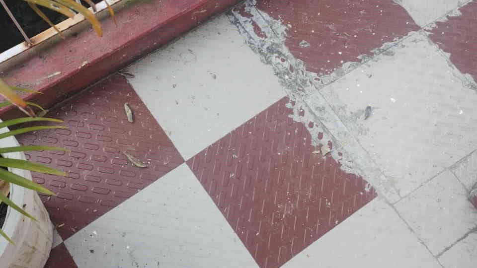 Uttarkashi News Unknown people pelted stones at Keshav Giri Maharaj Upradi Ashram police engaged in investigat