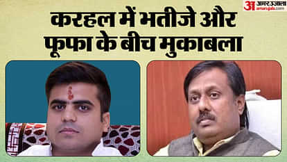 UP By Election 2024 Karhal Assembly Seat Anujesh Yadav Mulayam Singh Yadav News in Hindi