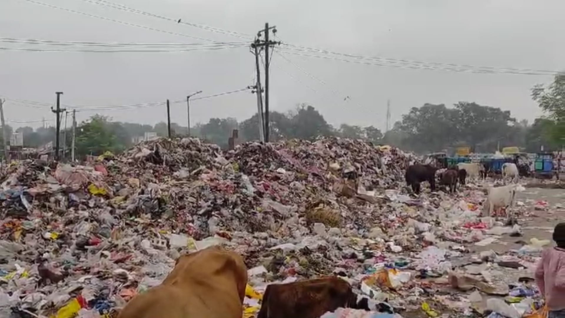 Bihar News: Aurangabad residents angry over garbage dumping near Adari river, reprimanded chief councilor