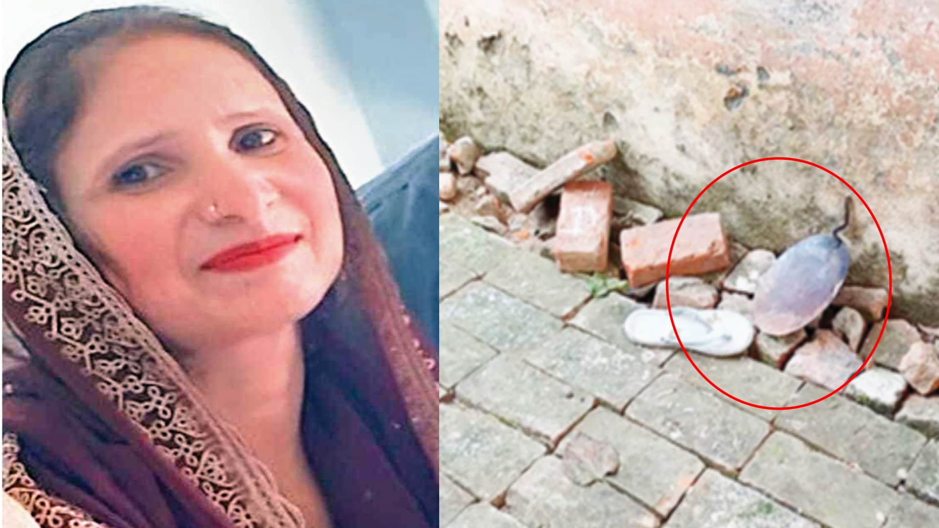 Murder: husband kept hitting the pan until its handle broke, also attacks on daughters